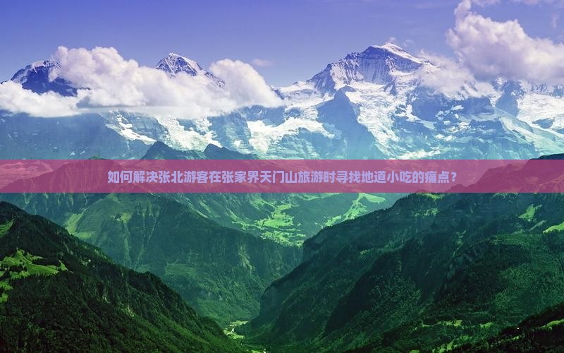张北去张家界天门山旅游小吃