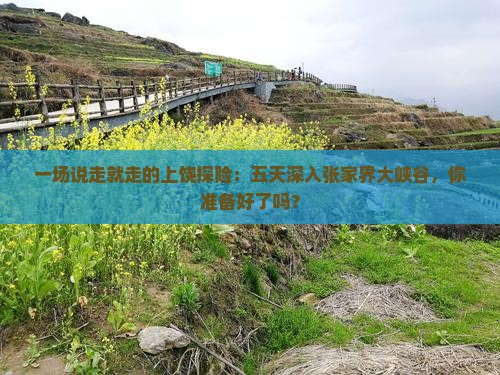 上饶到张家界大峡谷五日游