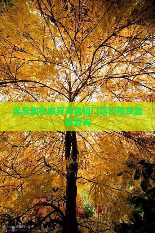 吴忠到张家界芙蓉镇门票
