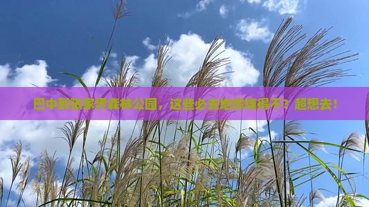 巴中到张家界森林公园必去地