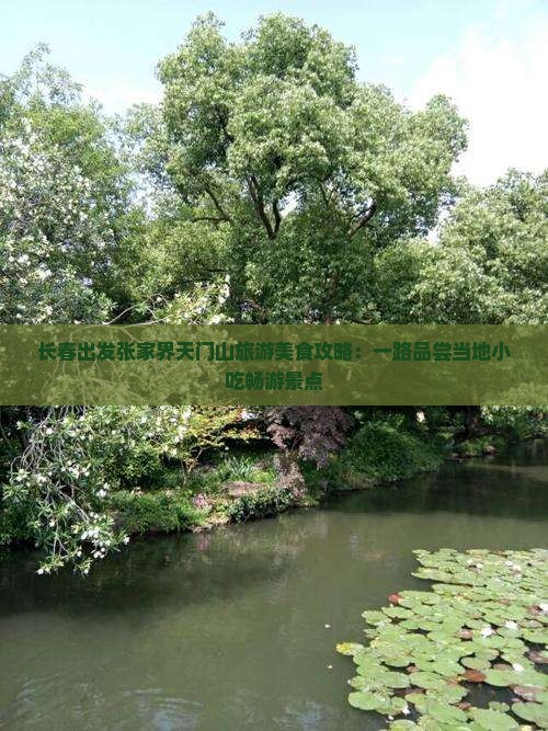 长春到张家界天门山旅游小吃