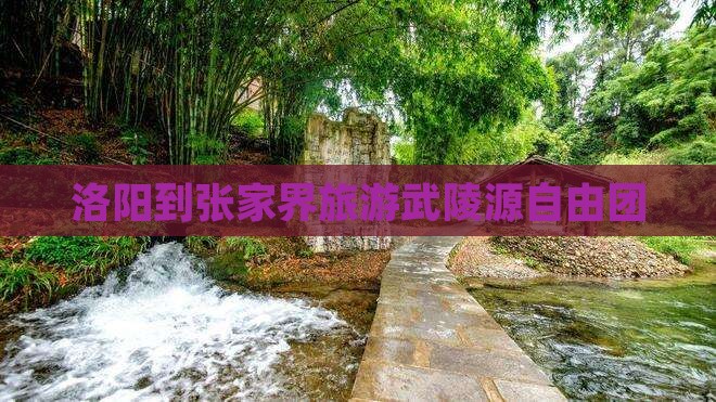 洛阳到张家界武陵源自由团