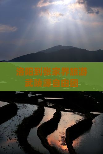 洛阳到张家界武陵源自由团