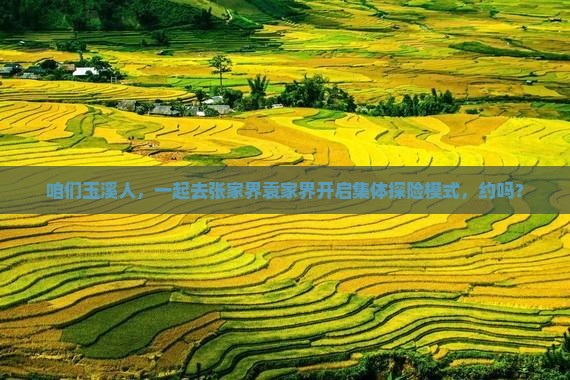 玉溪去张家界袁家界团体旅游 玉溪去张家界袁家界团体旅游