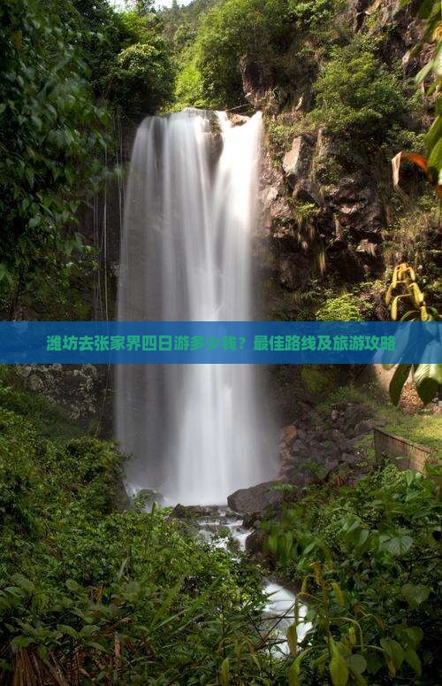 潍坊去张家界四日游