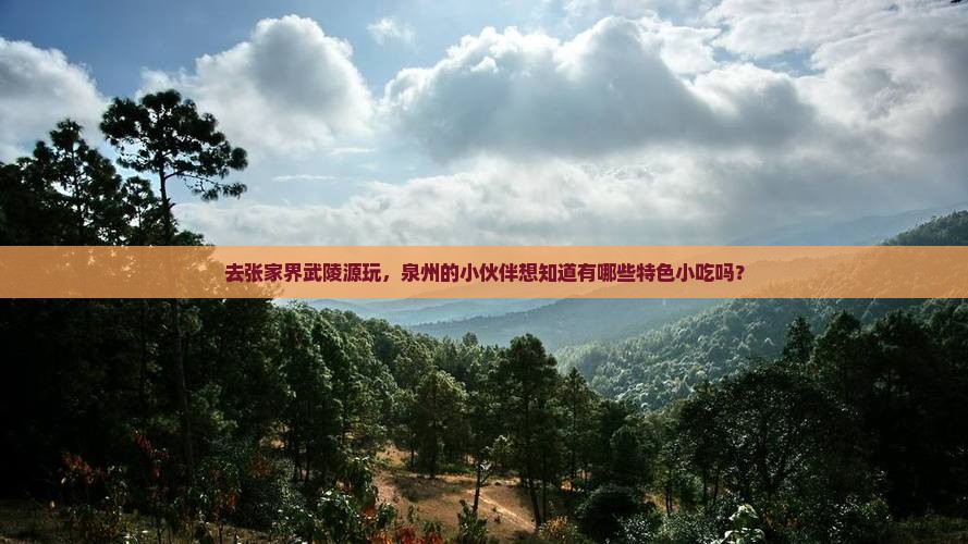 泉州去张家界武陵源旅游小吃