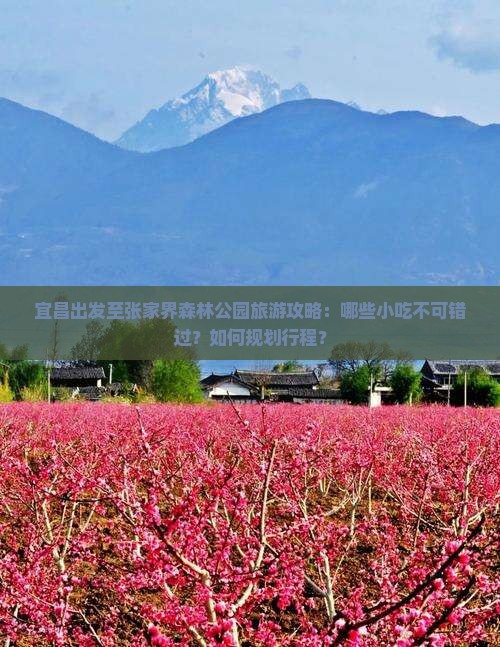 宜昌去张家界森林公园旅游小吃