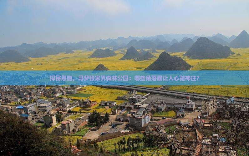 恩施到张家界森林公园必去地