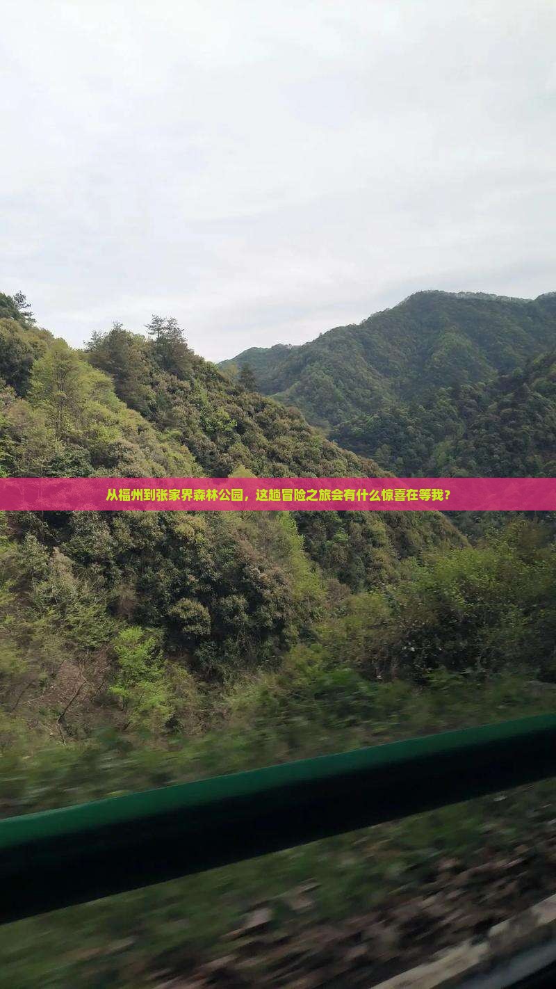福州到张家界森林公园景点