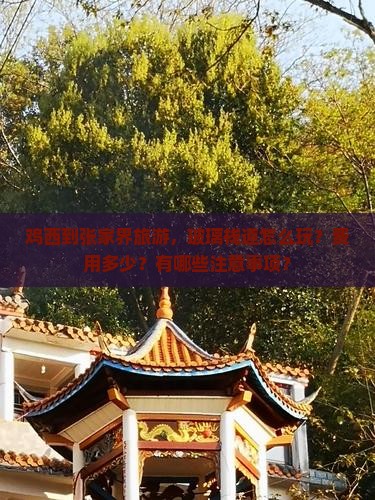 鸡西到张家界玻璃栈道攻略