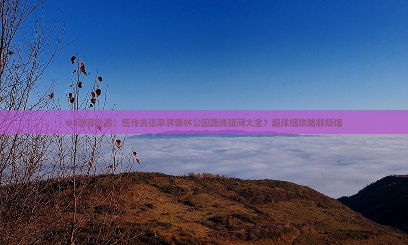 焦作到张家界森林公园攻略