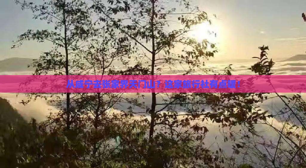 咸宁到张家界天门山旅行社