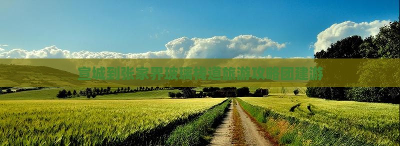 宣城去张家界玻璃栈道团体旅游