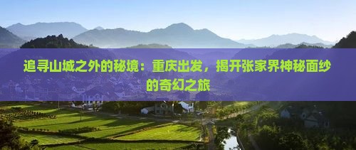 重庆去张家界旅游