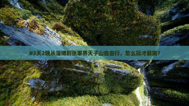 淄博去张家界天子山自由行