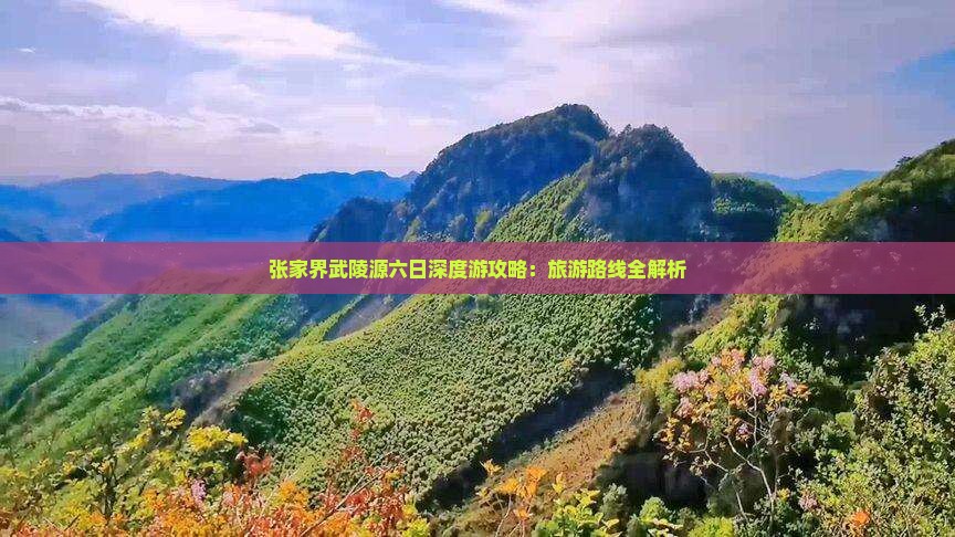 来宾去张家界武陵源六日游
