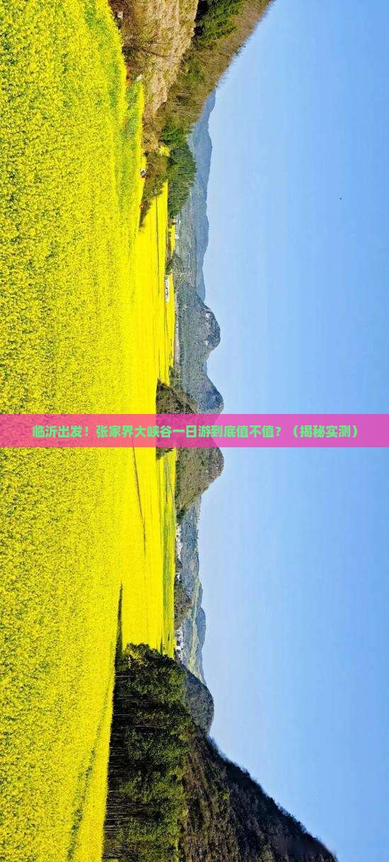 临沂到张家界大峡谷一日