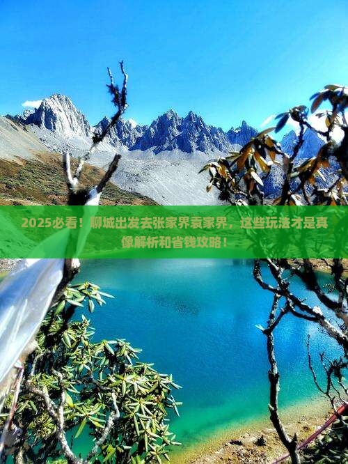 聊城到张家界袁家界哪里玩