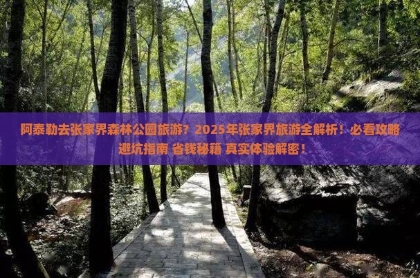 阿泰勒去张家界森林公园旅游