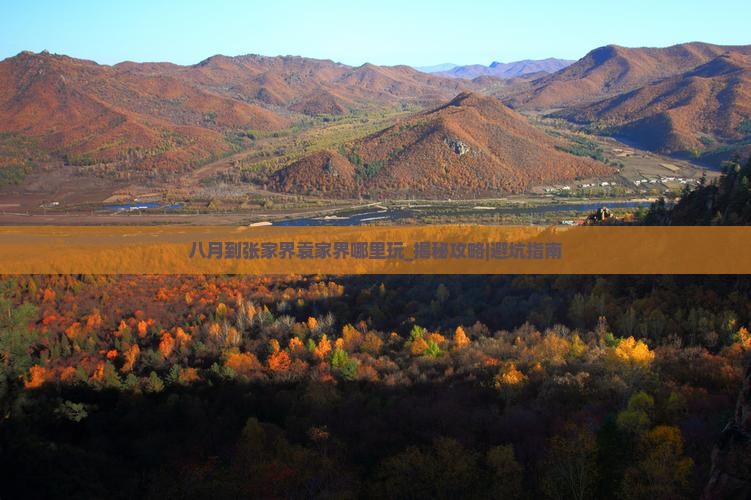 八月到张家界袁家界哪里玩