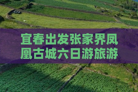 宜春到张家界凤凰古城六日游