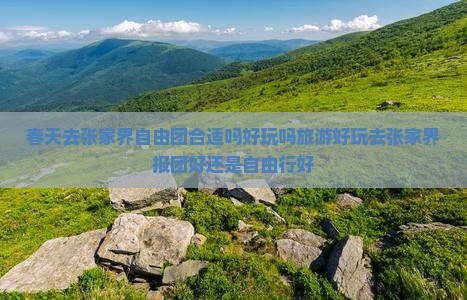 春天去张家界自由团