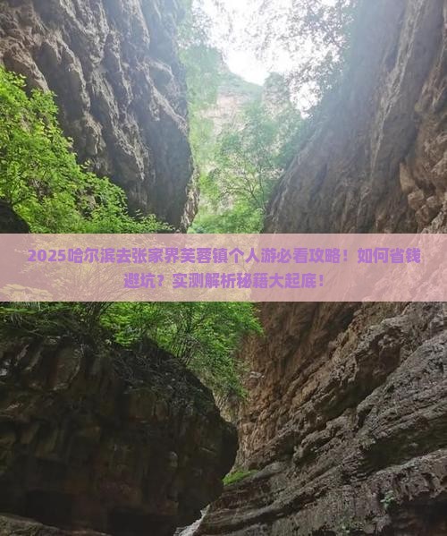 哈尔滨去张家界芙蓉镇个人游
