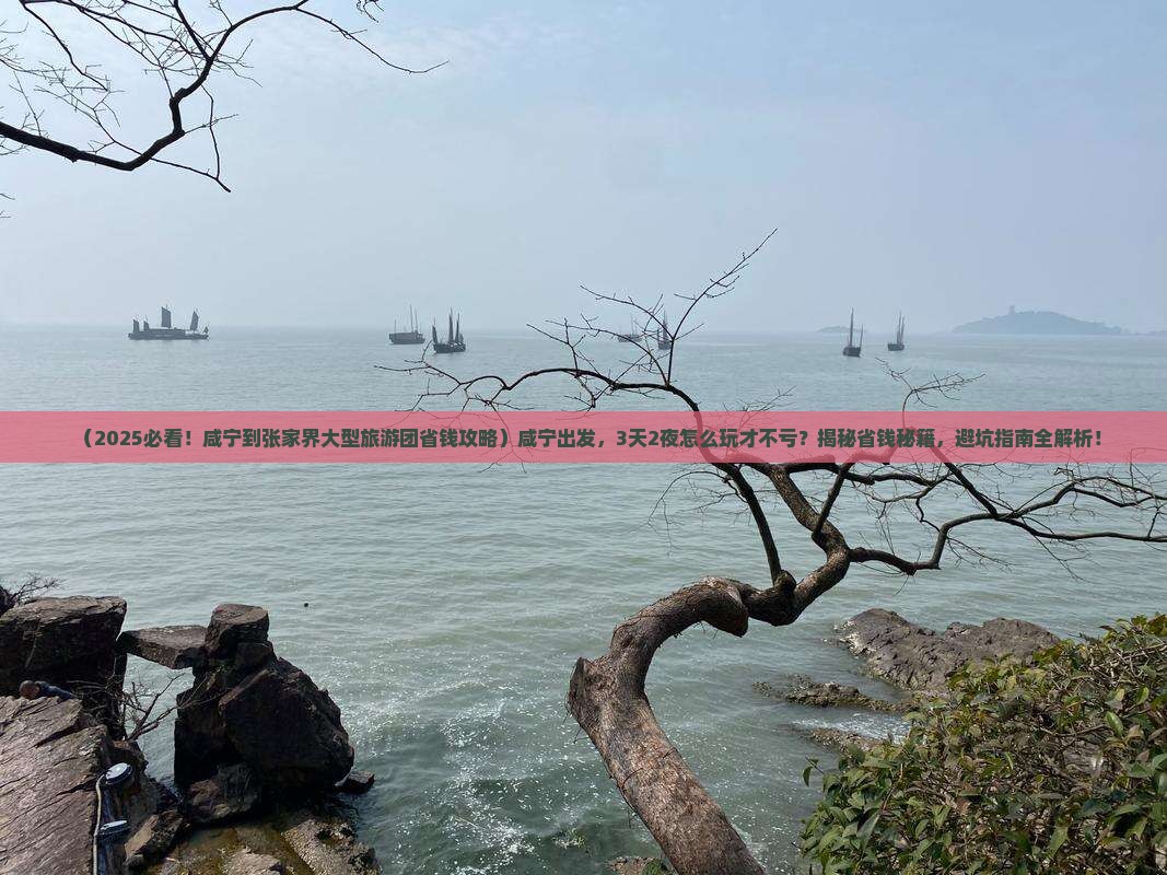 咸宁到张家界大型旅游团