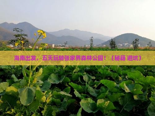 海南到张家界森林公园五日游