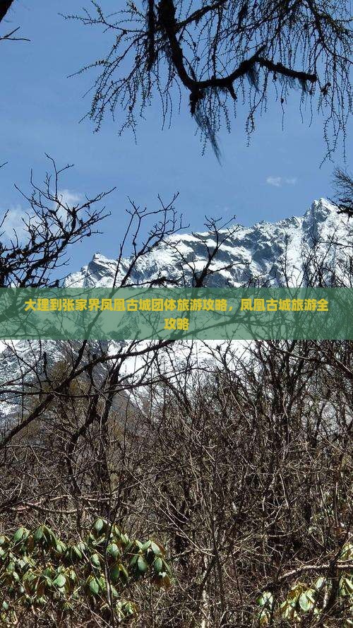 大理到张家界凤凰古城团体旅游