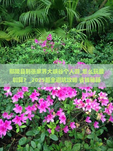 鄢陵县到张家界大峡谷个人游