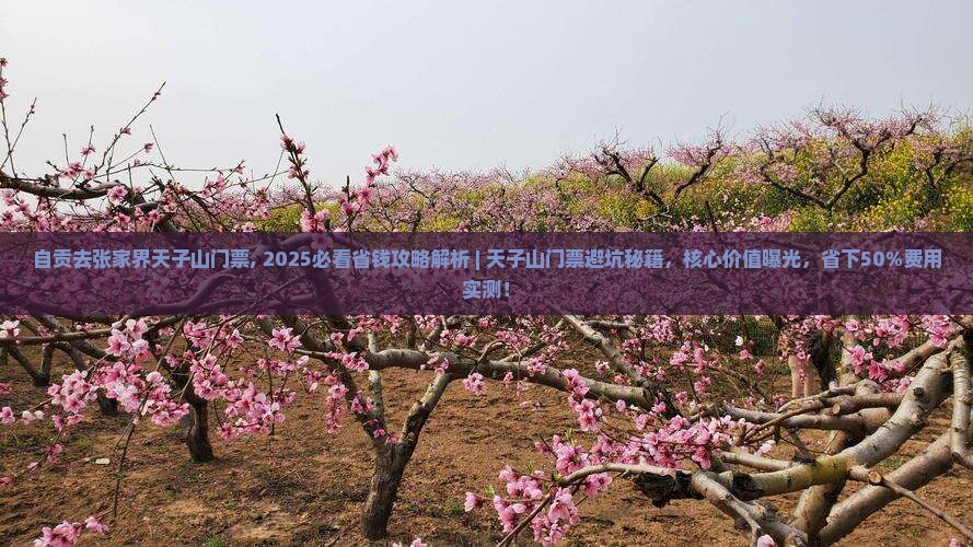 自贡去张家界天子山门票