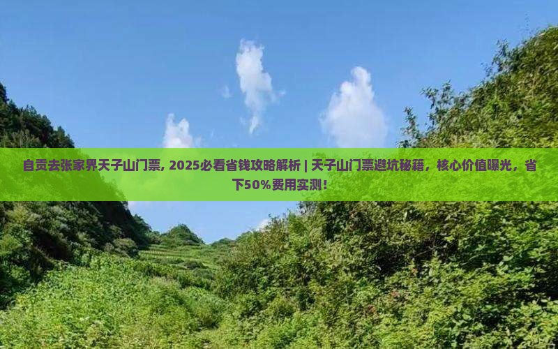 自贡去张家界天子山门票