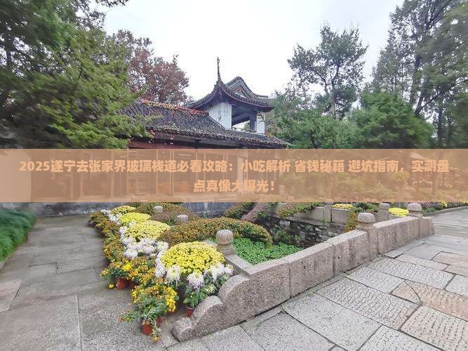 遂宁去张家界玻璃栈道旅游小吃