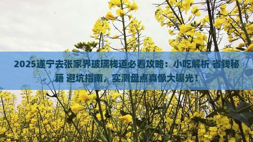 遂宁去张家界玻璃栈道旅游小吃