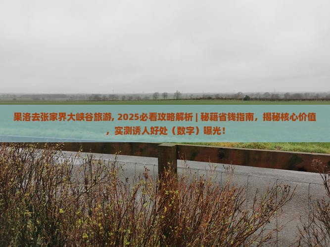 果洛去张家界大峡谷旅游 果洛去张家界大峡谷旅游
