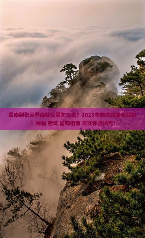 渭南到张家界森林公园旅游