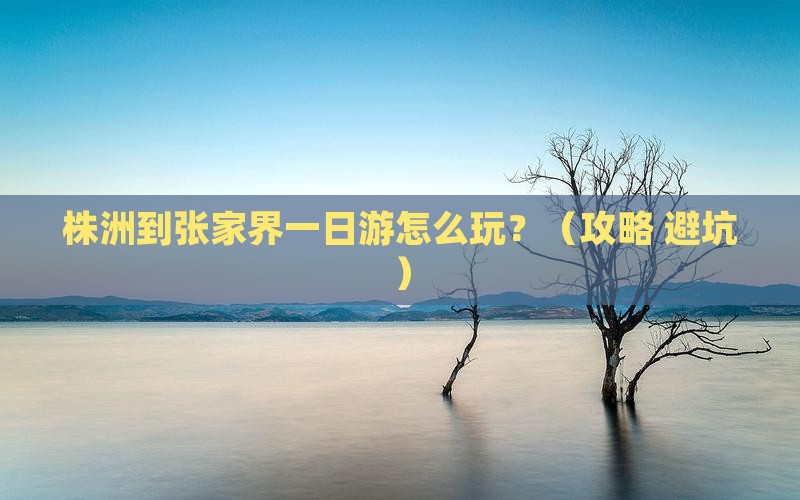 株洲到张家界一日