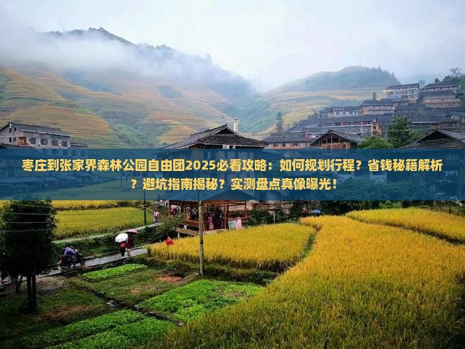 枣庄到张家界森林公园自由团