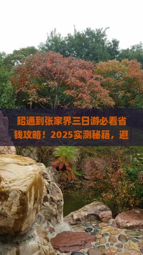 昭通到张家界三日游