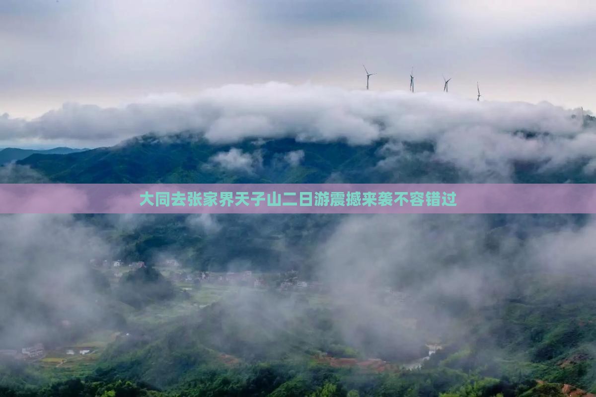 大同去张家界天子山二日游