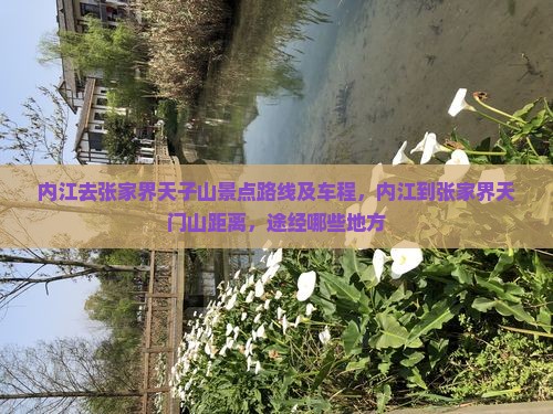 内江去张家界天子山景点
