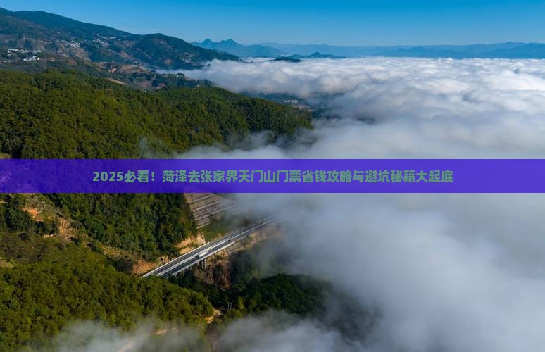 菏泽去张家界天门山门票