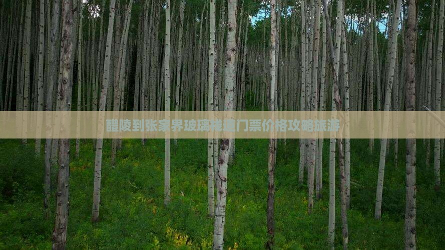 醴陵到张家界玻璃栈道门票