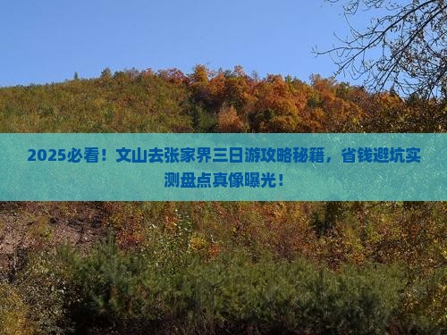 文山去张家界三日游