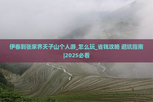 伊春到张家界天子山个人游