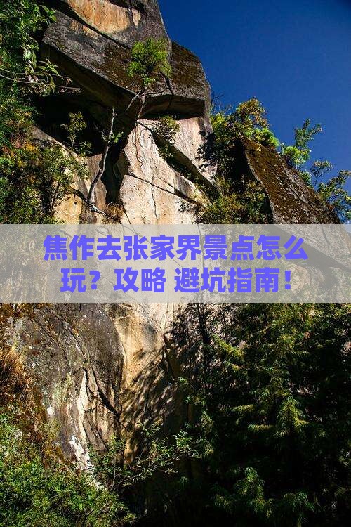 焦作去张家界景点