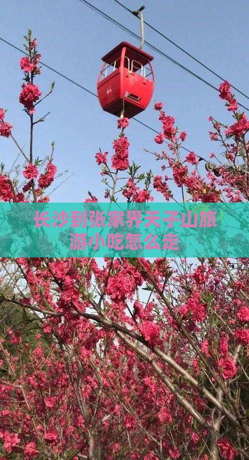 长沙到张家界天子山旅游小吃