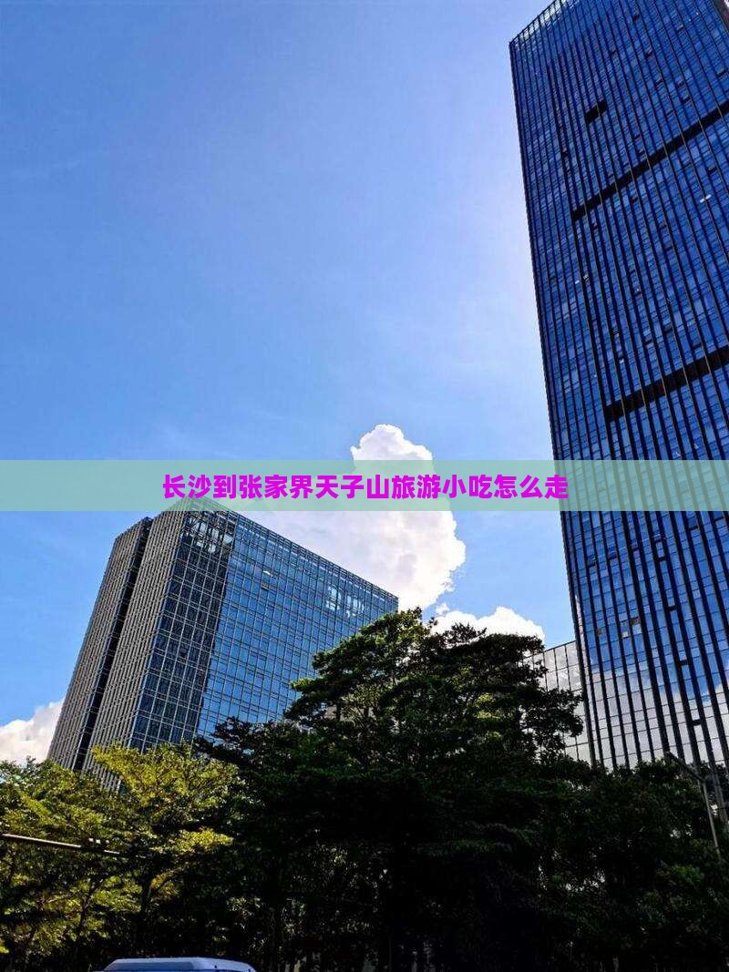 长沙到张家界天子山旅游小吃