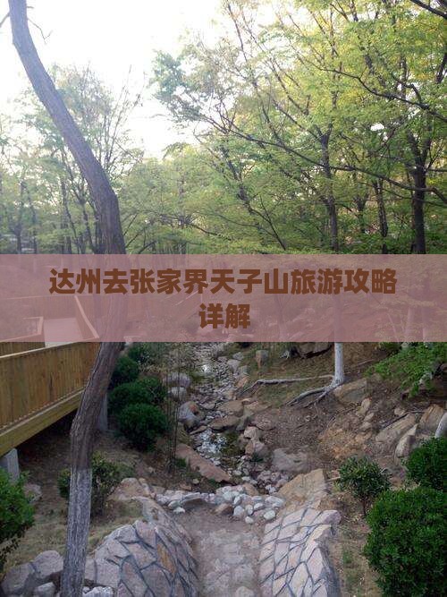 达州去张家界天子山大型旅游团
